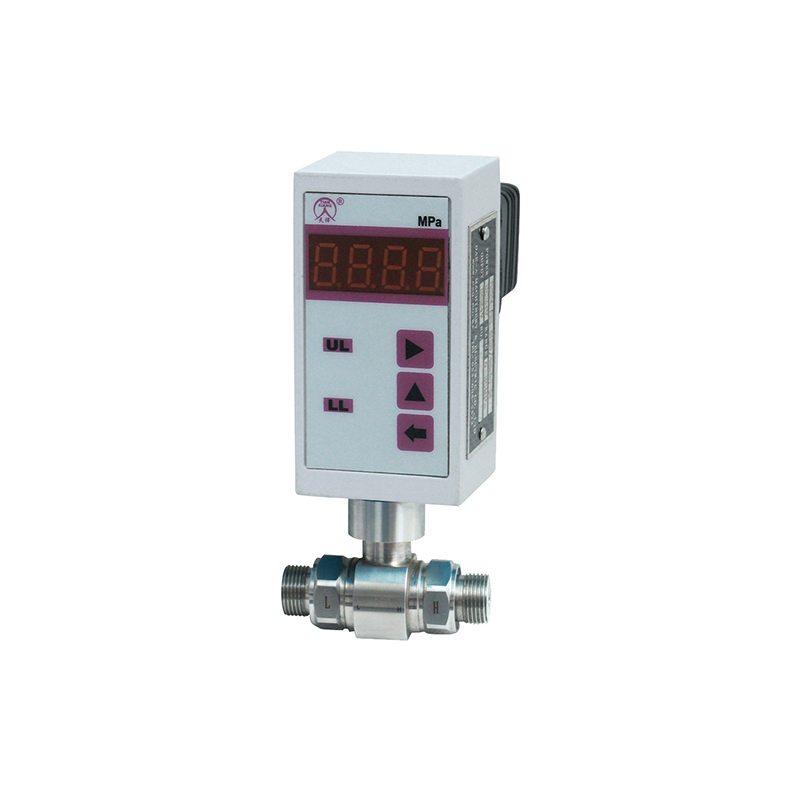TXZS1型智能/電子差壓開關(guān)/差壓控制器