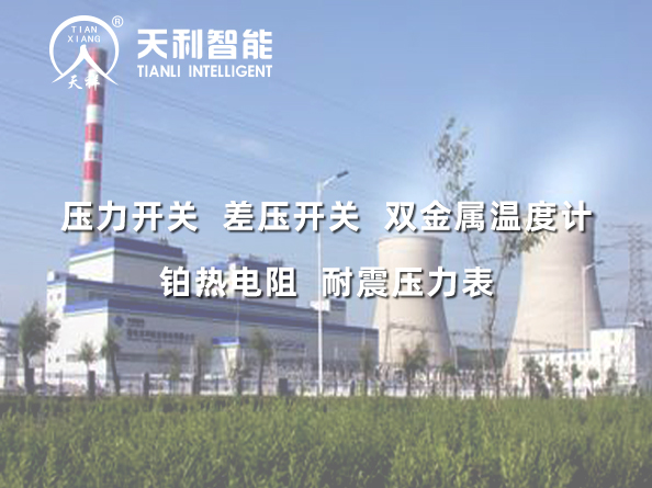 國電吉林龍華長(zhǎng)春熱電一廠2*350MW超臨界機(jī)組給水